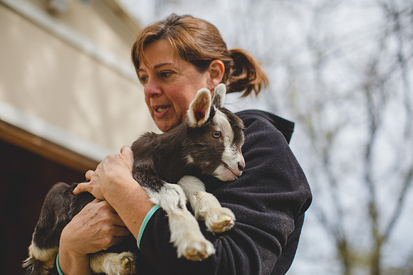 Jennifer B Photography-new goat-0048