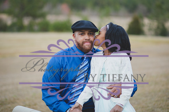 PhotographybyTiffany-DaddyDaughterDance-March11,201744