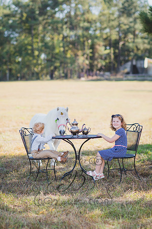 Jennifer B. Photography-Unicorn 3-20