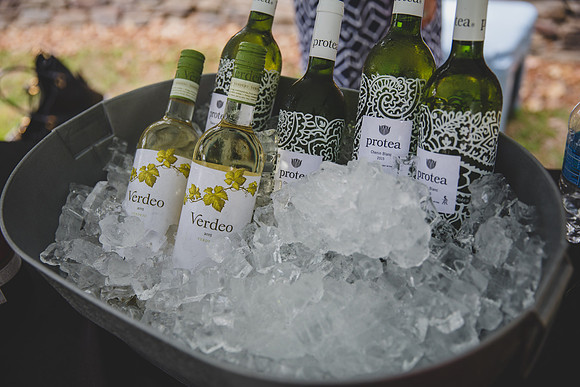 Jennifer B Photography-VIne Tasting Fund Raiser 2017-0059