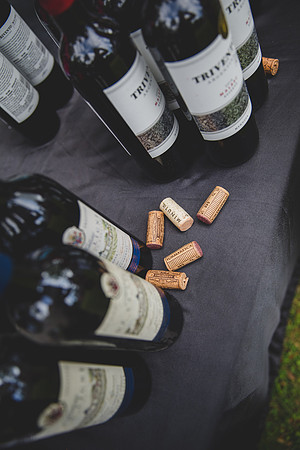 Jennifer B Photography-VIne Tasting Fund Raiser 2017-0072