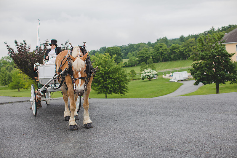 Jennifer B Photography-Breaux Vineyard-0266