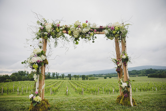 Jennifer B Photography-Breaux Vineyard-0288
