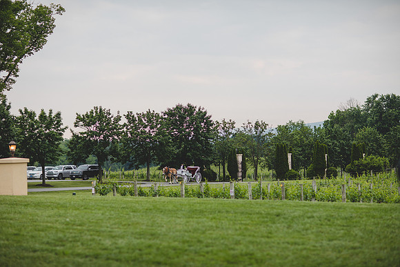 Jennifer B Photography-Breaux Vineyard-0377