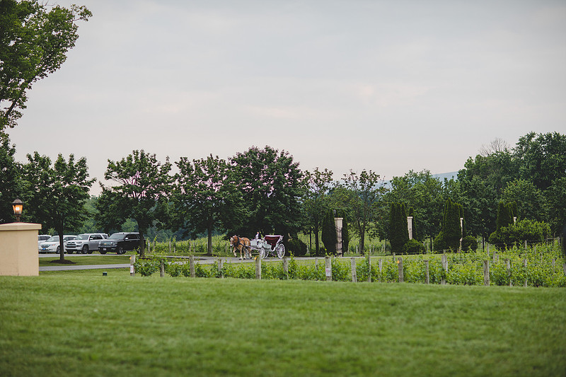 Jennifer B Photography-Breaux Vineyard-0377