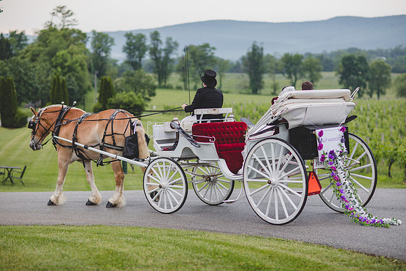 Jennifer B Photography-Breaux Vineyard-0413