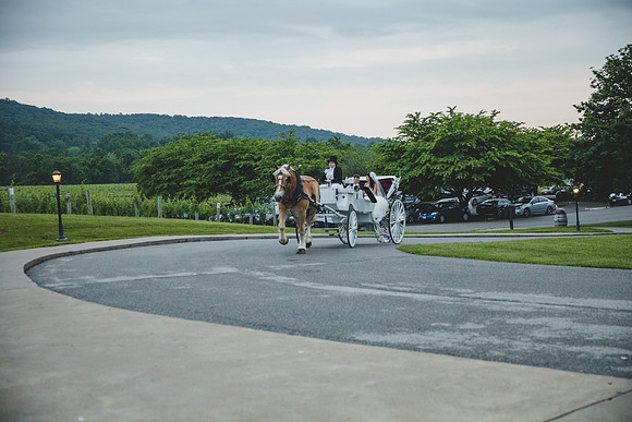 Jennifer B Photography-Breaux Vineyard-0453