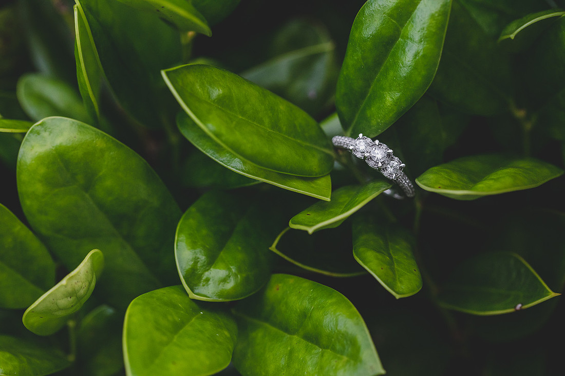 Marketing -Jennifer B Photography-M&J Engagement 2017-0037