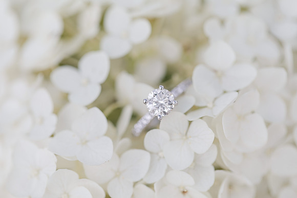 Marketing -Jennifer B Photography--0036