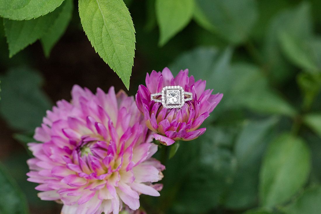 Marketing -Jennifer B Photography-j&m-0030