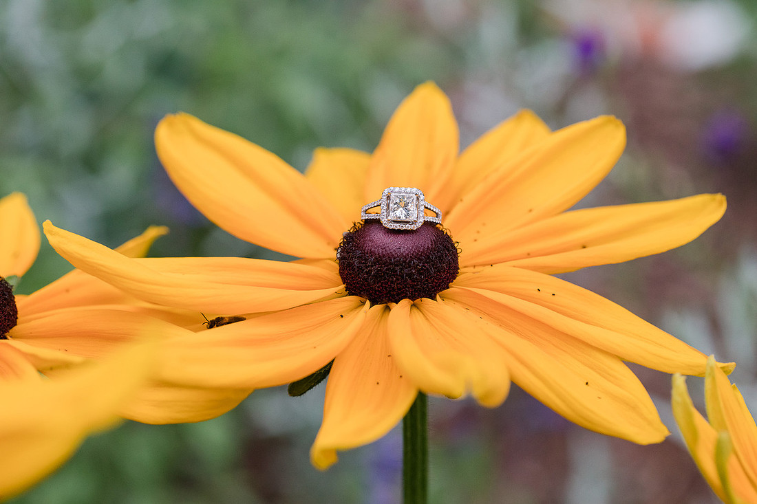 Marketing -Jennifer B Photography-j&m-0031
