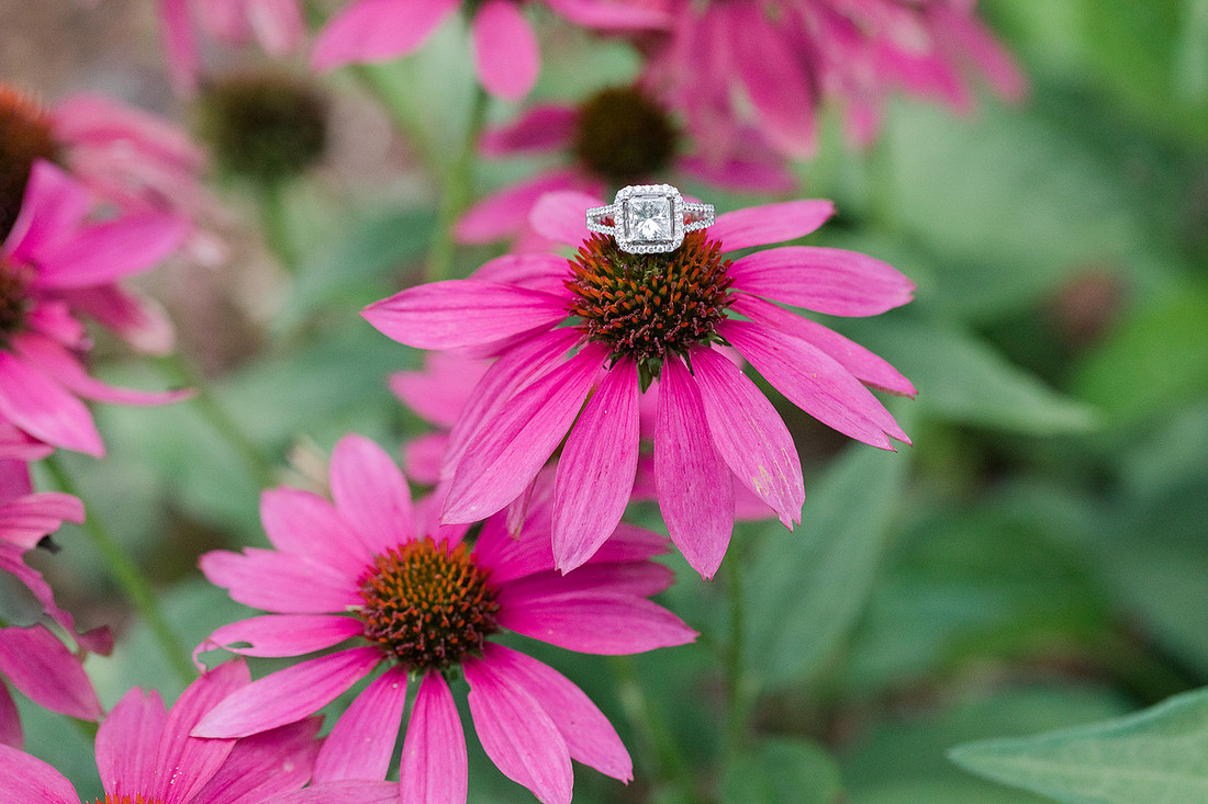 Marketing -Jennifer B Photography-j&m-0032