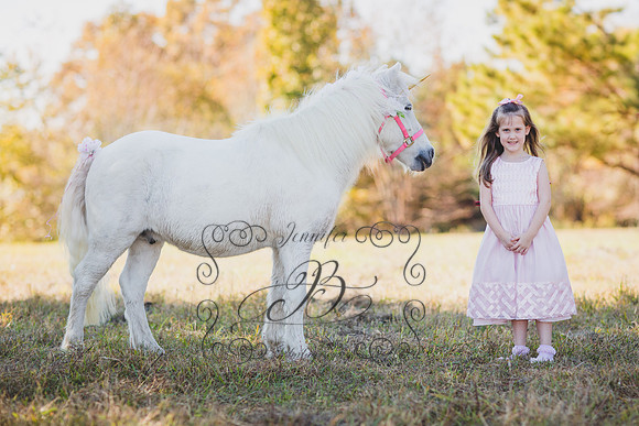 Jennifer B. Photography-Unicorn 1-4