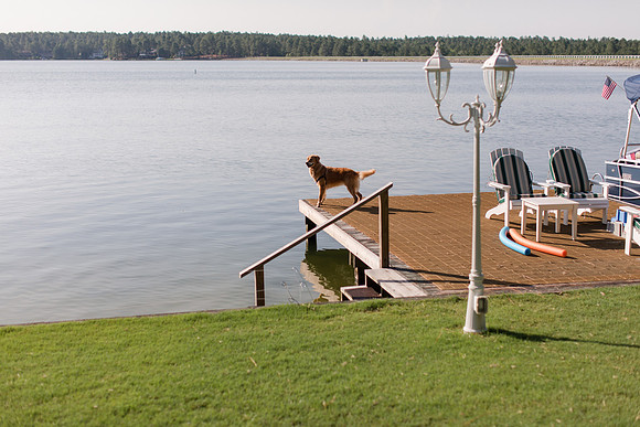 Jennifer B Photography-Family Session (Lindstrom)-0087