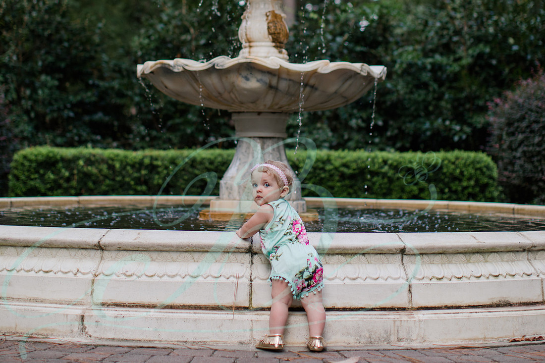 Jennifer B Photography-1 year old-Dixon 2017-0075