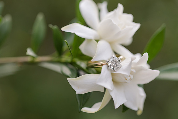 Jennifer B Photography-Brett & Ashley Engagement-2017-0067