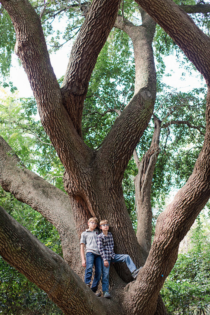 Jennifer B Photography-Hartman Family 2017-2017-0099