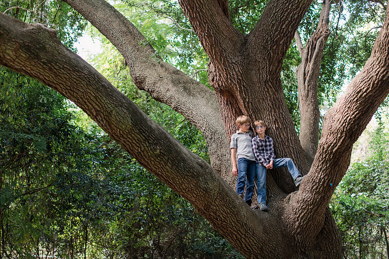 Jennifer B Photography-Hartman Family 2017-2017-0102