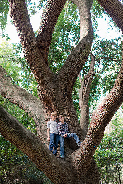 Jennifer B Photography-Hartman Family 2017-2017-0104