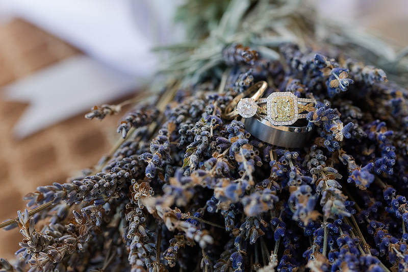Jennifer B Photography-Brian and Ewa-Highlights-2017-0020