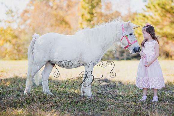 Jennifer B. Photography-Unicorn 1-3