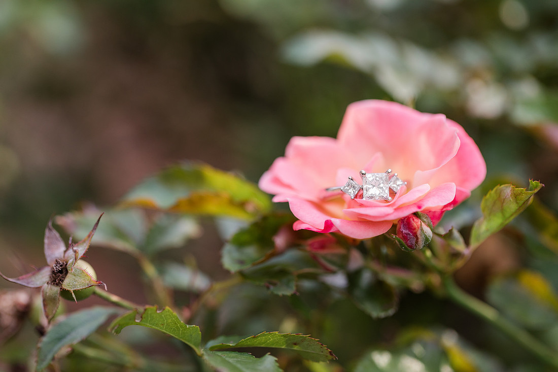 Jennifer B Photography-C&R Engagement-2017-0121