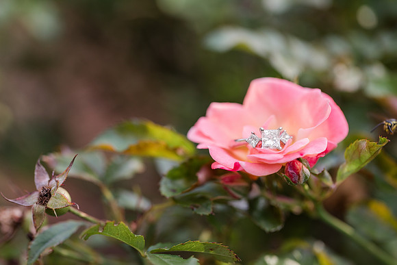 Jennifer B Photography-C&R Engagement-2017-0122