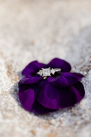 Jennifer B Photography-C&R Engagement-2017-0124