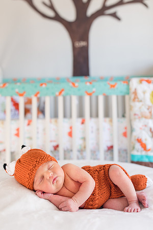 Jennifer B Photography-Miller Baby-2017-0006