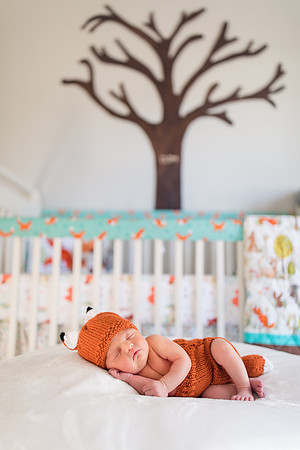 Jennifer B Photography-Miller Baby-2017-0007