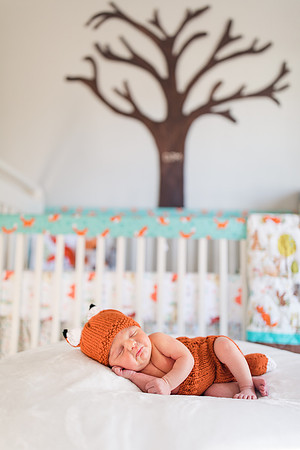 Jennifer B Photography-Miller Baby-2017-0008