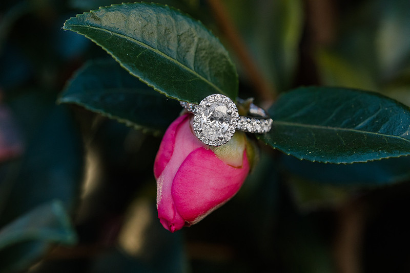 Blog-Tony & Anne-2017-Jennifer B Photography-29