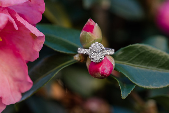 Blog-Tony & Anne-2017-Jennifer B Photography-30
