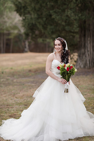 Jennifer B Photography-K&C wedding-2017-0032
