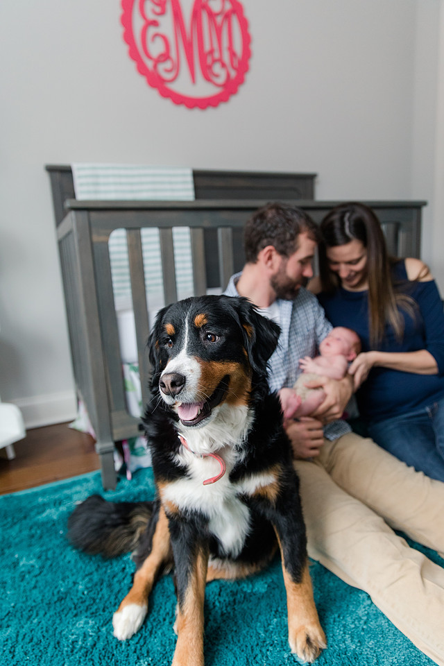 Jennifer B Photography-Baby Ella Morris-2018-0048