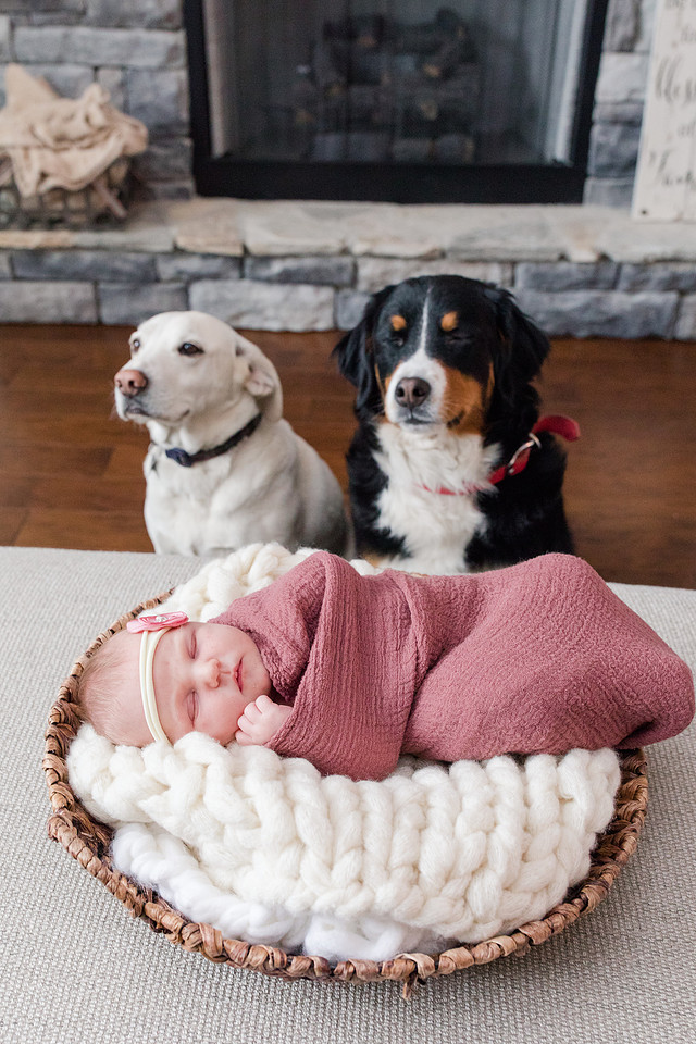 Jennifer B Photography-Baby Ella Morris-2018-0084