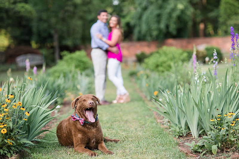 Jennifer B Photography-Haydon & Mary Lawrence-pics-2018-0016_