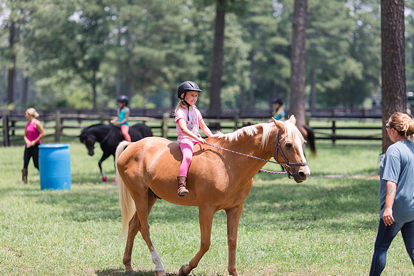 Jennifer B Photography-Horse Camp-Addy-2018-0024