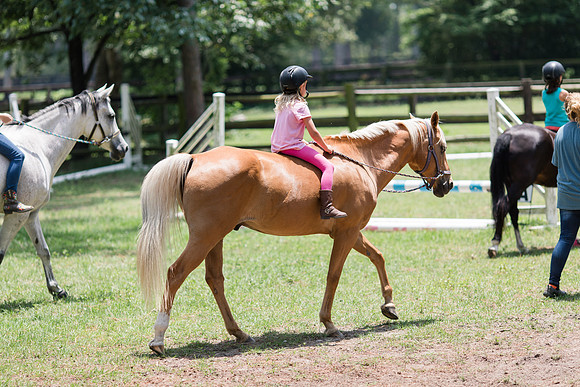 Jennifer B Photography-Horse Camp-Addy-2018-0036