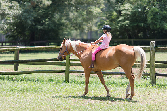 Jennifer B Photography-Horse Camp-Addy-2018-0062