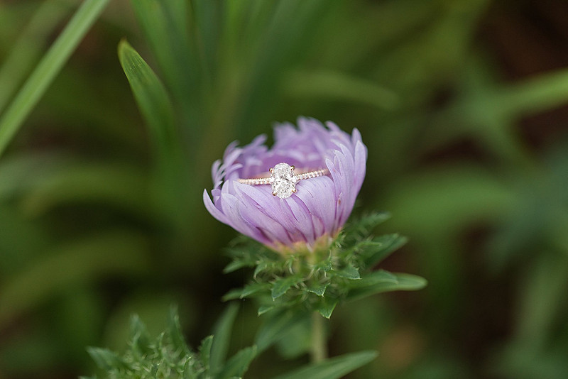 Jennifer B Photography-Proposal-2018-0058_