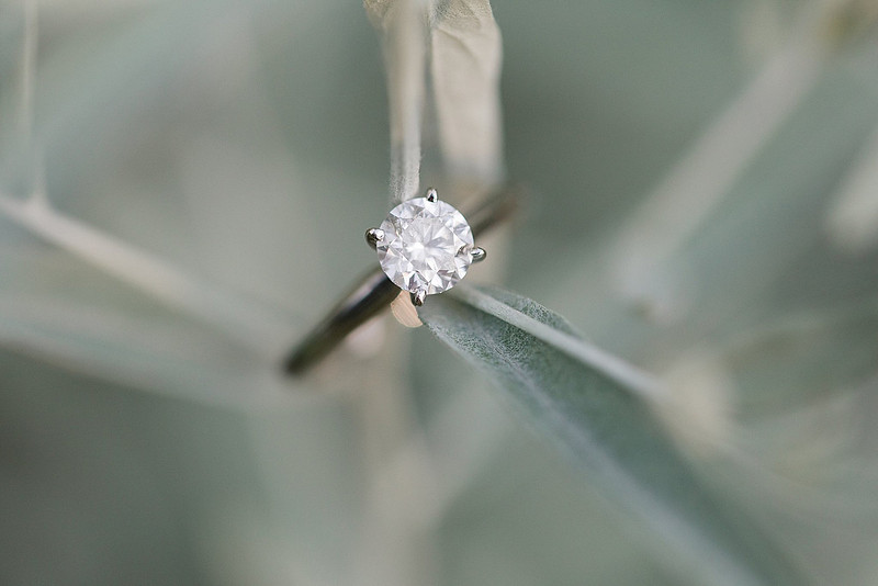 Jennifer B Photography-Andrew & Kiana's Engagement-2018-0112_