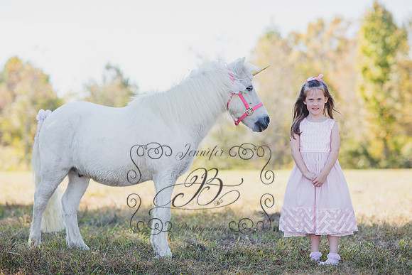 Jennifer B. Photography-Unicorn 1-5