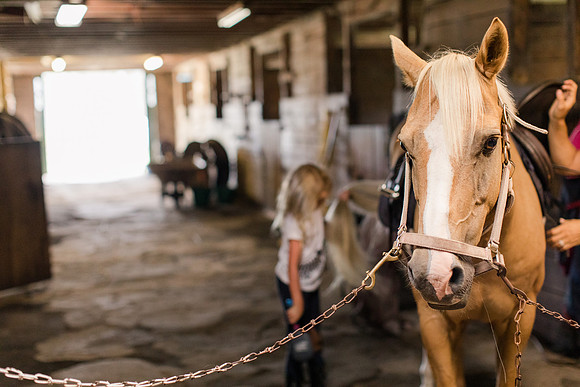 Jennifer B Photography-Horse lesson-addy and butters-2018-0006