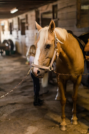 Jennifer B Photography-Horse lesson-addy and butters-2018-0007