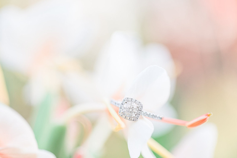 Jennifer B Photography-Caleb & Miranda-Favs-2018-0068_