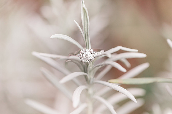 Jennifer B Photography-Caleb & Miranda-Favs-2018-0069_
