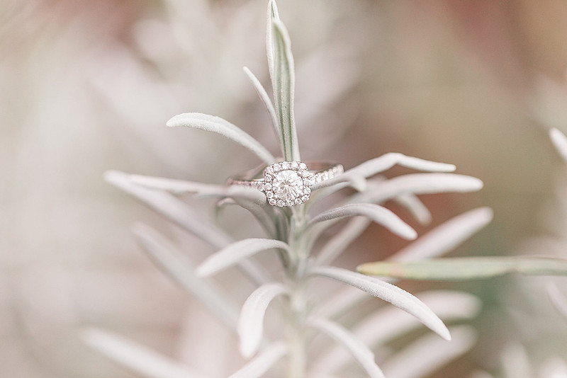 Jennifer B Photography-Caleb & Miranda-Favs-2018-0069_