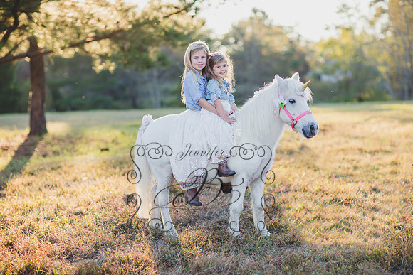 Jennifer B. Photography-Unicorn session 8-29