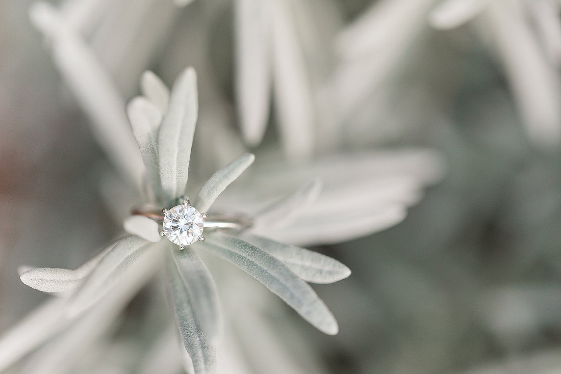 Jennifer B Photography-Rob & Erin's Engagement-JB-2018-0075_